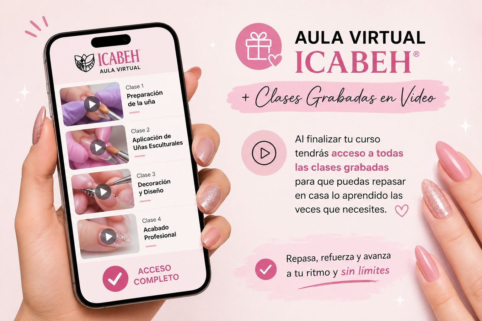 Aula Virtual ICABEH